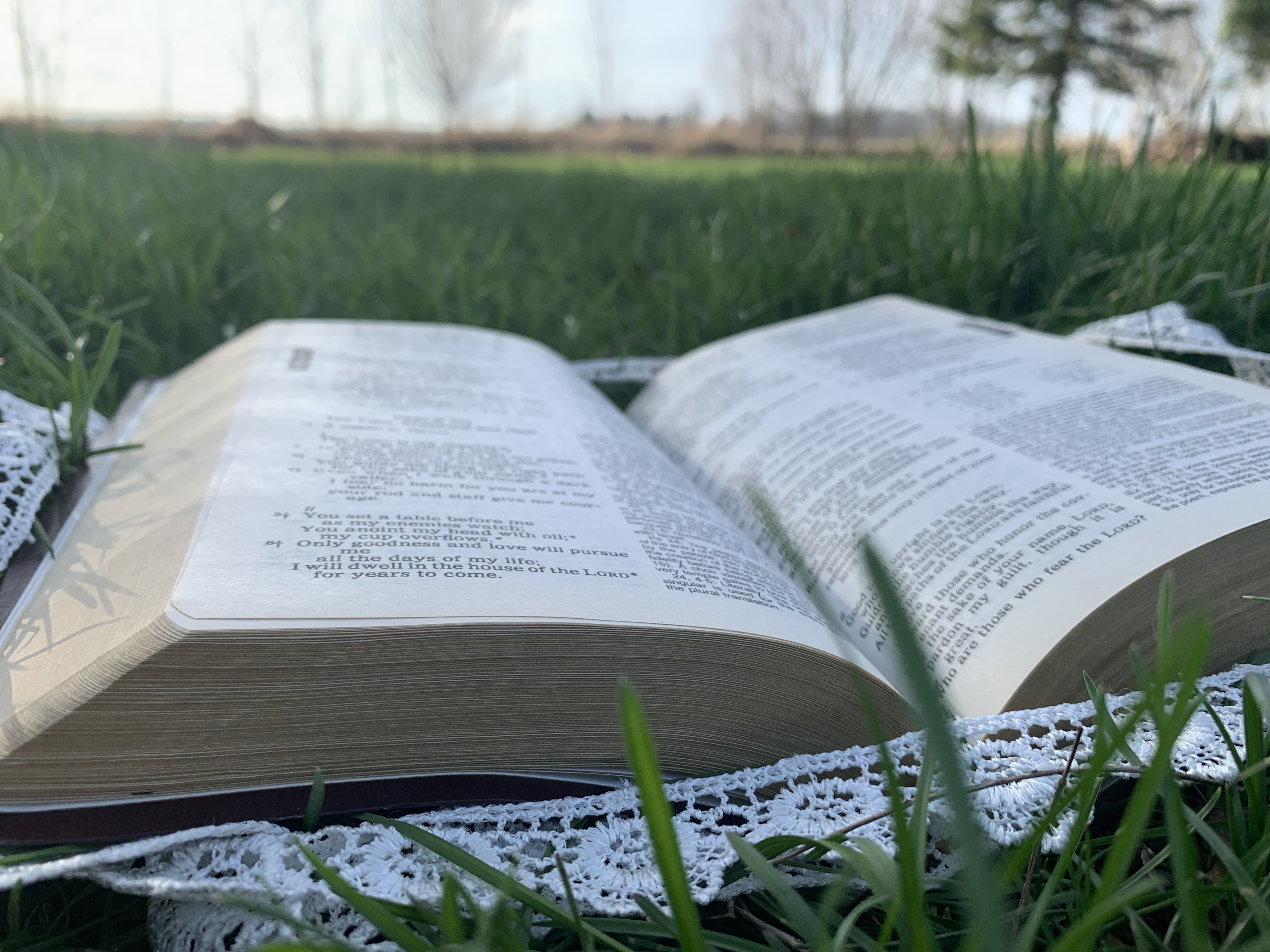 A picture of the bible outside.